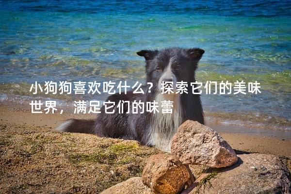 小狗狗喜欢吃什么？探索它们的美味世界，满足它们的味蕾