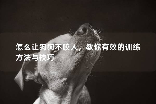 怎么让狗狗不咬人，教你有效的训练方法与技巧