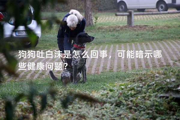 狗狗吐白沫是怎么回事，可能暗示哪些健康问题？