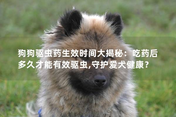 狗狗驱虫药生效时间大揭秘：吃药后多久才能有效驱虫,守护爱犬健康？