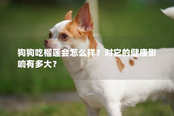 狗狗吃榴莲会怎么样？对它的健康影响有多大？