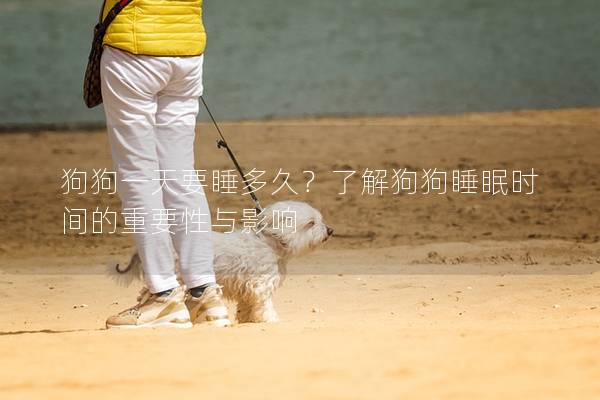 狗狗一天要睡多久？了解狗狗睡眠时间的重要性与影响