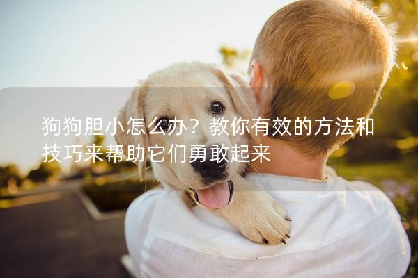 狗狗胆小怎么办？教你有效的方法和技巧来帮助它们勇敢起来