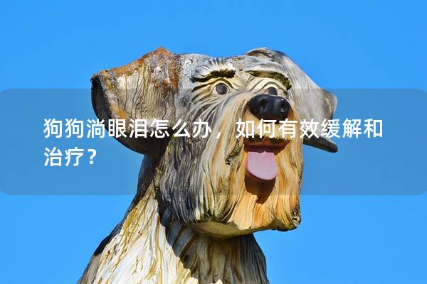 狗狗淌眼泪怎么办，如何有效缓解和治疗？