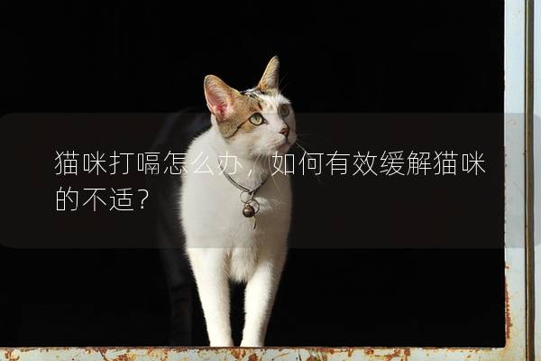 猫咪打嗝怎么办，如何有效缓解猫咪的不适？