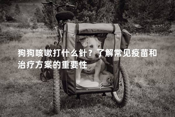 狗狗咳嗽打什么针？了解常见疫苗和治疗方案的重要性