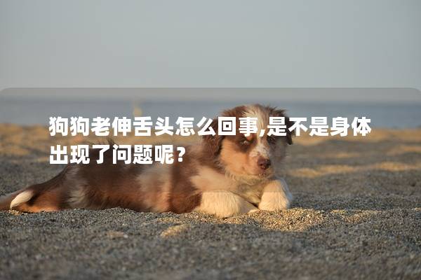 狗狗老伸舌头怎么回事,是不是身体出现了问题呢？