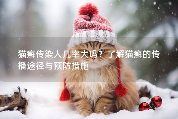猫癣传染人几率大吗？了解猫癣的传播途径与预防措施