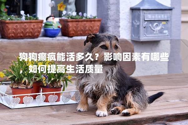 狗狗癫疯能活多久？影响因素有哪些，如何提高生活质量