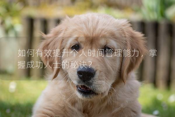 如何有效提升个人时间管理能力，掌握成功人士的秘诀？