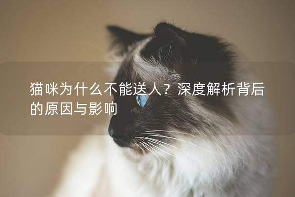 猫咪为什么不能送人？深度解析背后的原因与影响