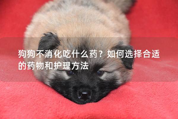 狗狗不消化吃什么药？如何选择合适的药物和护理方法
