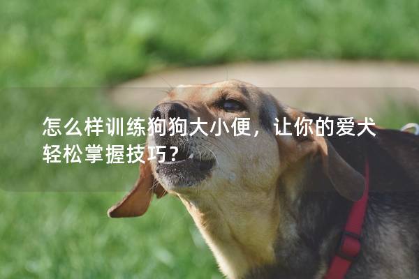 怎么样训练狗狗大小便，让你的爱犬轻松掌握技巧？