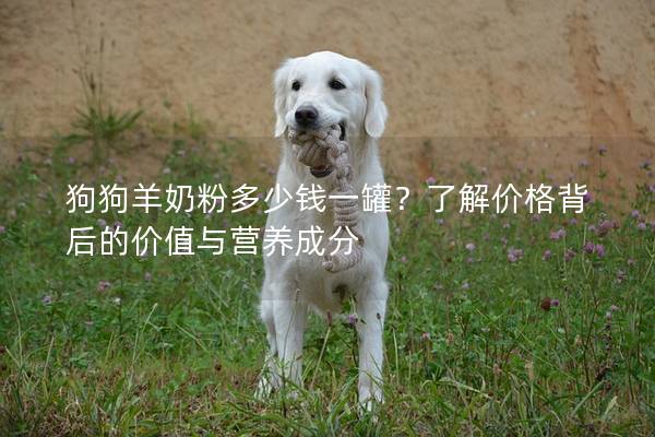 狗狗羊奶粉多少钱一罐？了解价格背后的价值与营养成分
