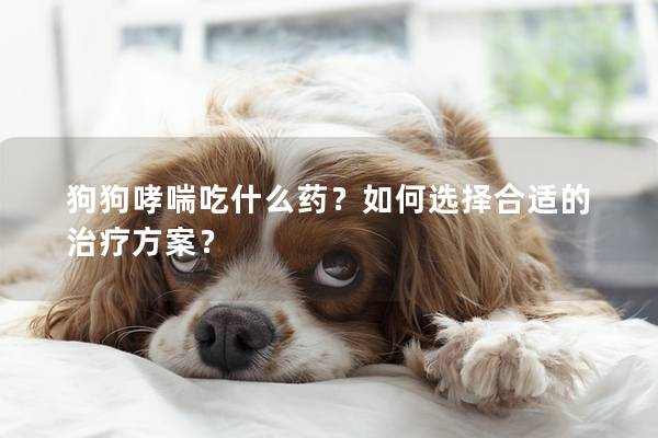 狗狗哮喘吃什么药？如何选择合适的治疗方案？