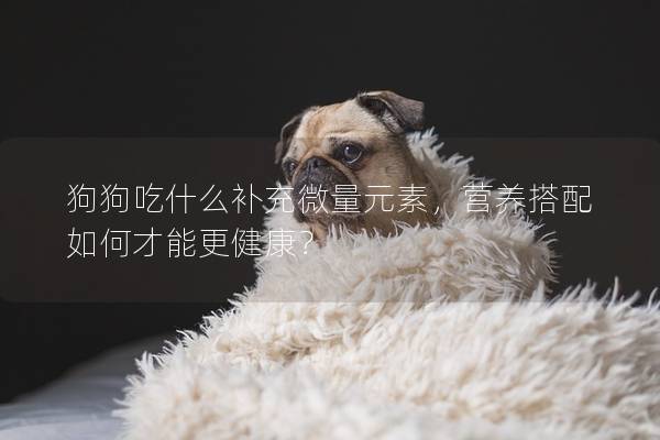 狗狗吃什么补充微量元素，营养搭配如何才能更健康？