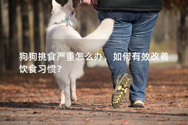 狗狗挑食严重怎么办，如何有效改善饮食习惯？