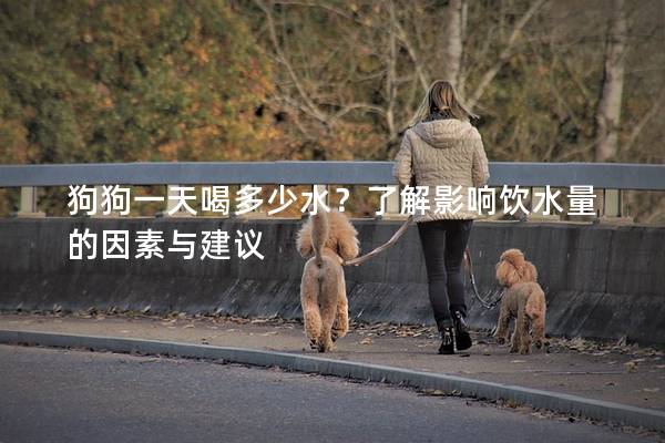 狗狗一天喝多少水？了解影响饮水量的因素与建议