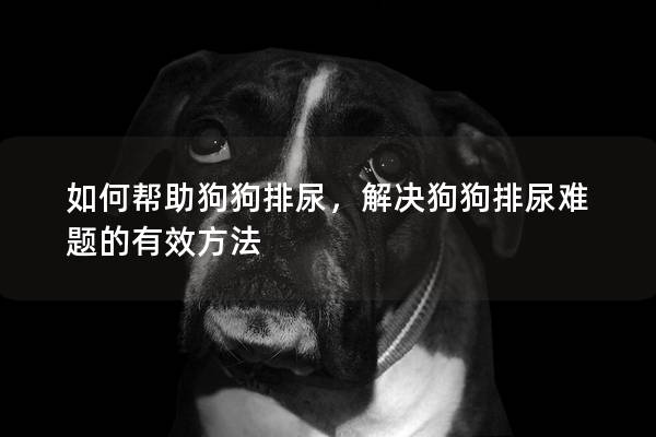 如何帮助狗狗排尿，解决狗狗排尿难题的有效方法
