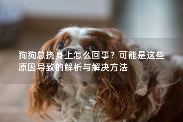 狗狗总挠身上怎么回事？可能是这些原因导致的解析与解决方法
