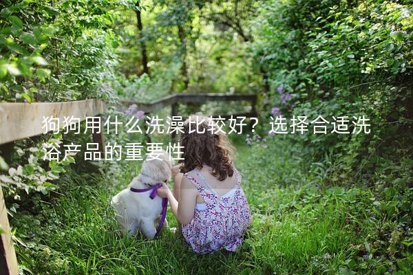 狗狗用什么洗澡比较好？选择合适洗浴产品的重要性