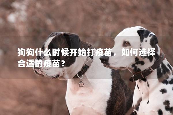 狗狗什么时候开始打疫苗，如何选择合适的疫苗？