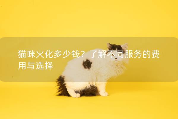 猫咪火化多少钱？了解不同服务的费用与选择