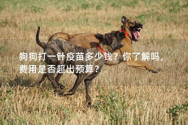 狗狗打一针疫苗多少钱？你了解吗，费用是否超出预算？
