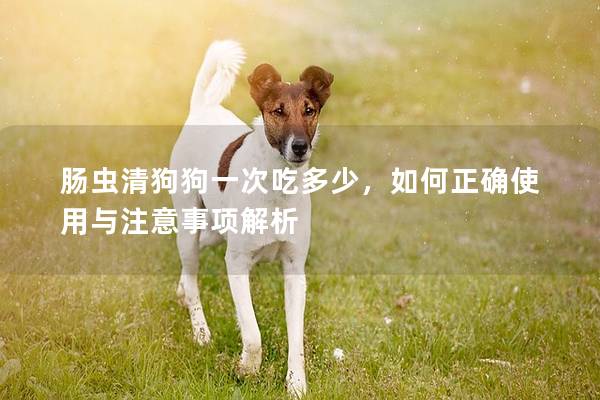 肠虫清狗狗一次吃多少，如何正确使用与注意事项解析