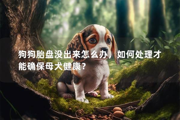 狗狗胎盘没出来怎么办，如何处理才能确保母犬健康？