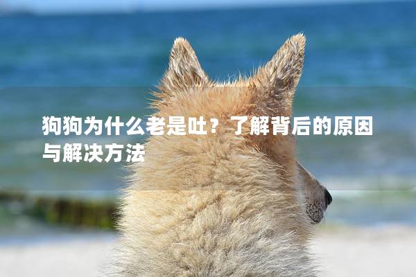 狗狗为什么老是吐？了解背后的原因与解决方法