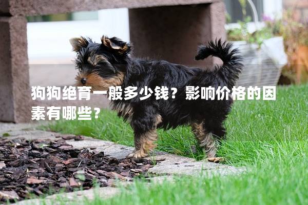 狗狗绝育一般多少钱？影响价格的因素有哪些？
