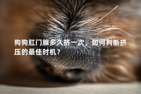 狗狗肛门腺多久挤一次，如何判断挤压的最佳时机？