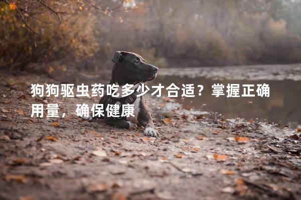 狗狗驱虫药吃多少才合适？掌握正确用量，确保健康