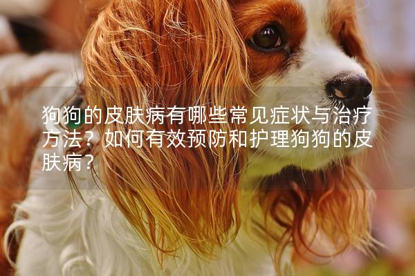 狗狗的皮肤病有哪些常见症状与治疗方法？如何有效预防和护理狗狗的皮肤病？