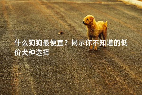 什么狗狗最便宜？揭示你不知道的低价犬种选择