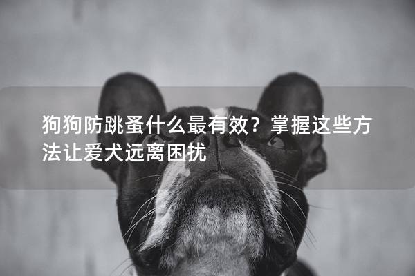狗狗防跳蚤什么最有效？掌握这些方法让爱犬远离困扰