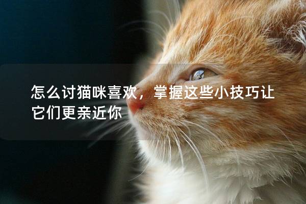 怎么讨猫咪喜欢，掌握这些小技巧让它们更亲近你