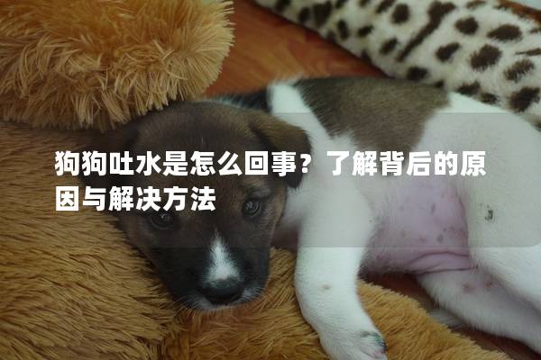 狗狗吐水是怎么回事？了解背后的原因与解决方法