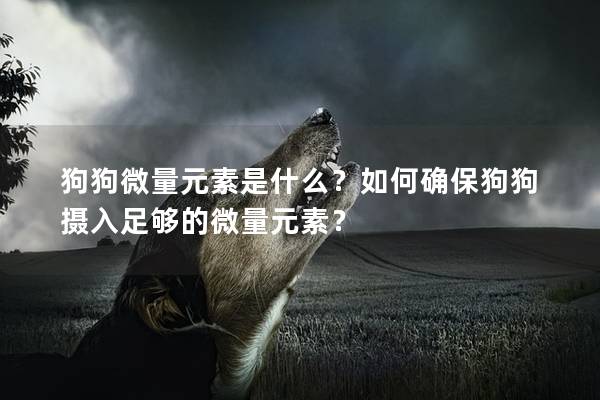 狗狗微量元素是什么？如何确保狗狗摄入足够的微量元素？