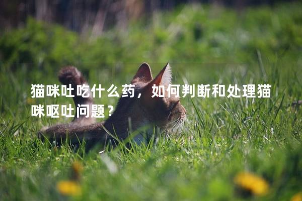 猫咪吐吃什么药，如何判断和处理猫咪呕吐问题？