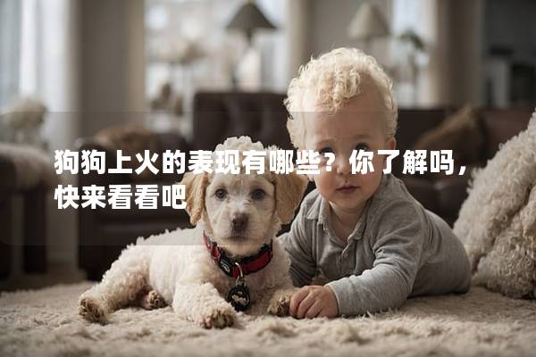 狗狗上火的表现有哪些？你了解吗，快来看看吧
