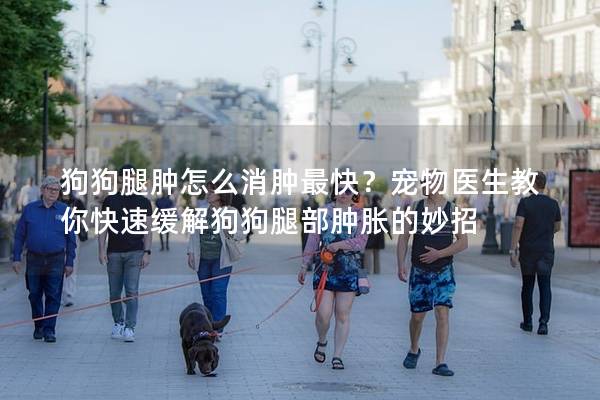 狗狗腿肿怎么消肿最快？宠物医生教你快速缓解狗狗腿部肿胀的妙招