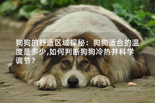 狗狗的舒适区域探秘：狗狗适合的温度是多少,如何判断狗狗冷热并科学调节？