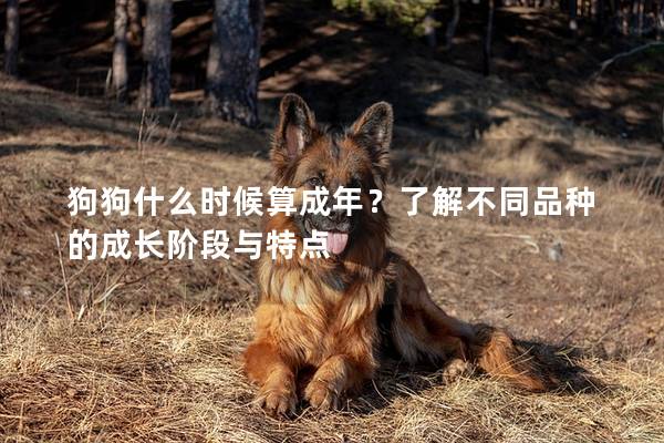 狗狗什么时候算成年？了解不同品种的成长阶段与特点