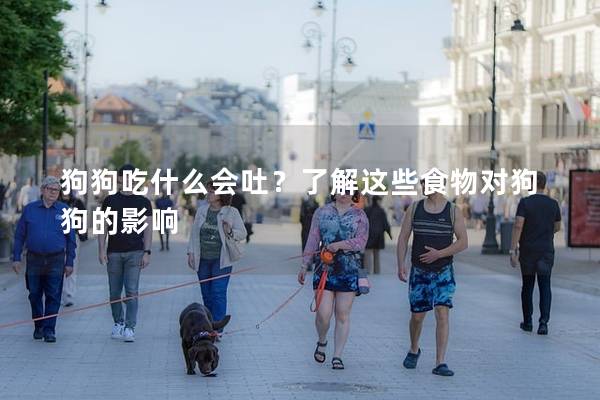 狗狗吃什么会吐？了解这些食物对狗狗的影响