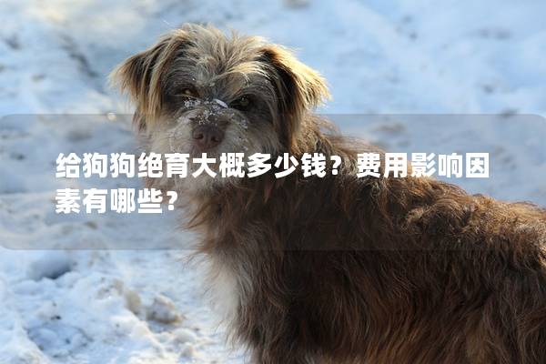 给狗狗绝育大概多少钱？费用影响因素有哪些？