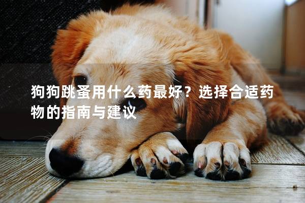 狗狗跳蚤用什么药最好？选择合适药物的指南与建议