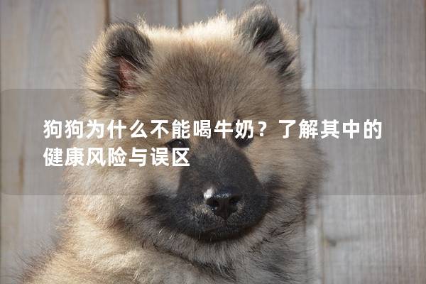 狗狗为什么不能喝牛奶？了解其中的健康风险与误区