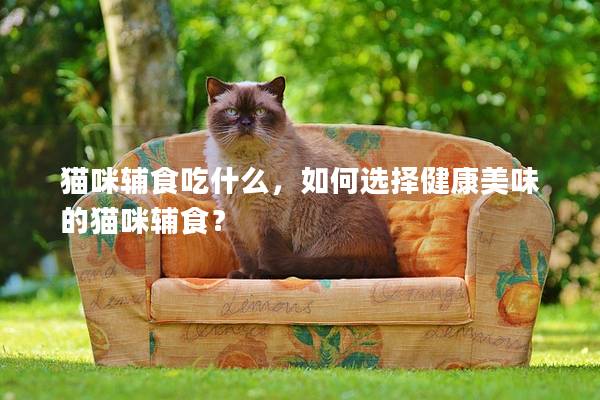 猫咪辅食吃什么，如何选择健康美味的猫咪辅食？